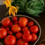 Bed & Breakfast Caecilia & Lawrence Organic Mediterranean Sea